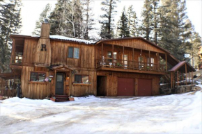 Ridgeview Lodge - Fenced Yard - Satellite - WiFi - Washer - Dryer - Grill - Fireplace